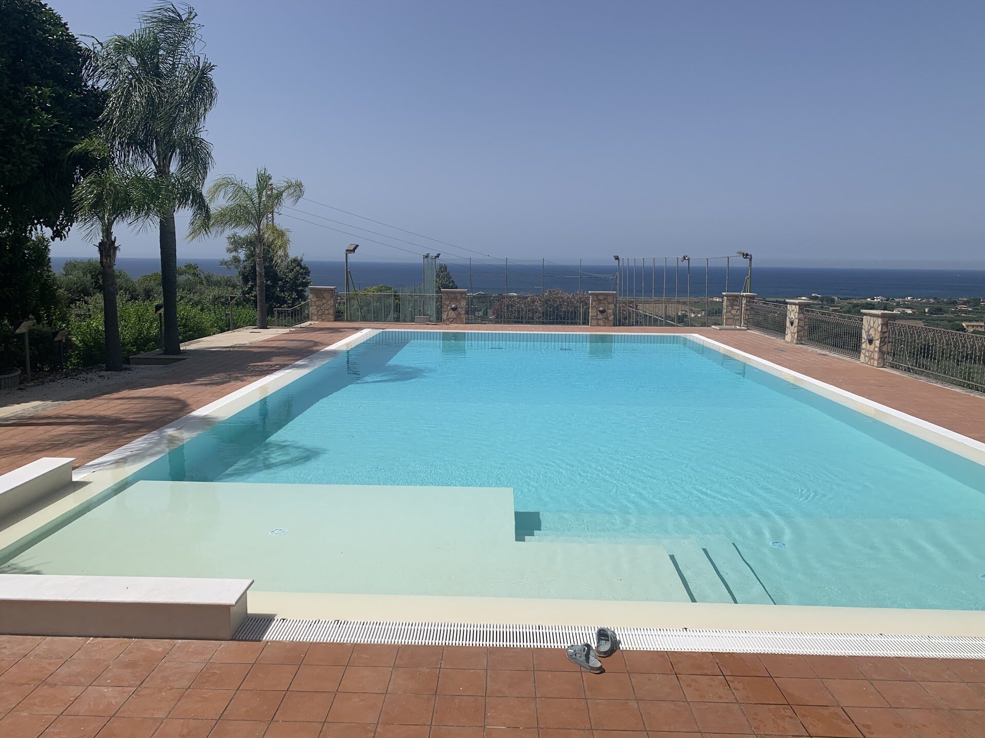 The pool at Villa Due Palme meeting the Tyrrhenian sea horizon, framed by palms