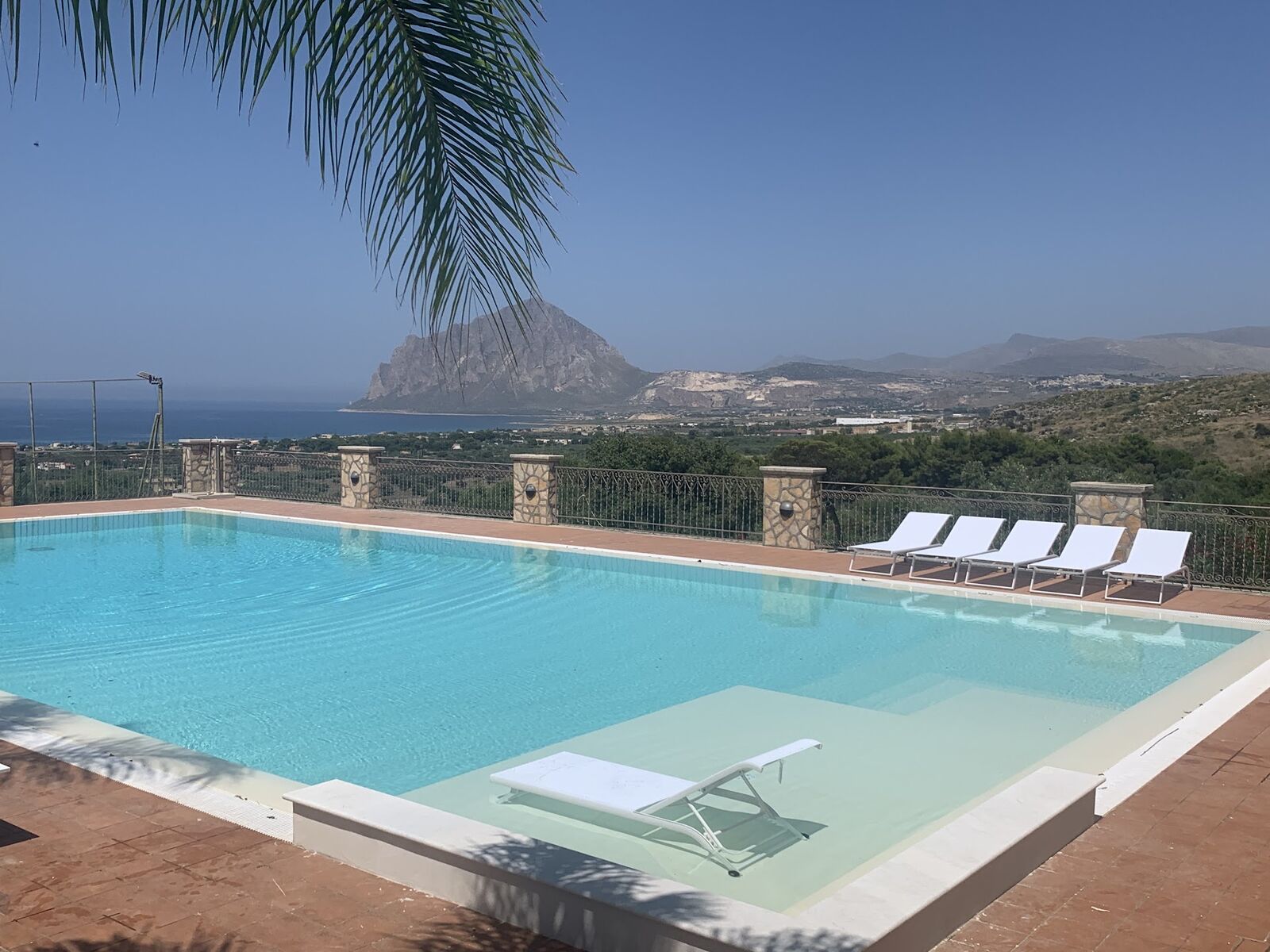 Pool with sun loungers and palm
